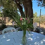 Sηαντι 100m From Sandy * Halikounas