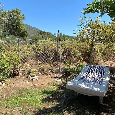 Sηαντι 100m From Sandy Vakantiehuis
