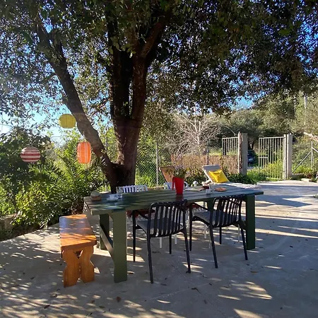 Sηαντι 100m From Sandy Vakantiehuis *