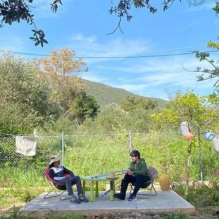 Sηαντι 100m From Sandy Vakantiehuis Chalikounas