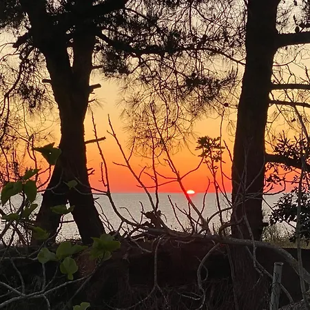 Sηαντι 100m From Sandy Vakantiehuis