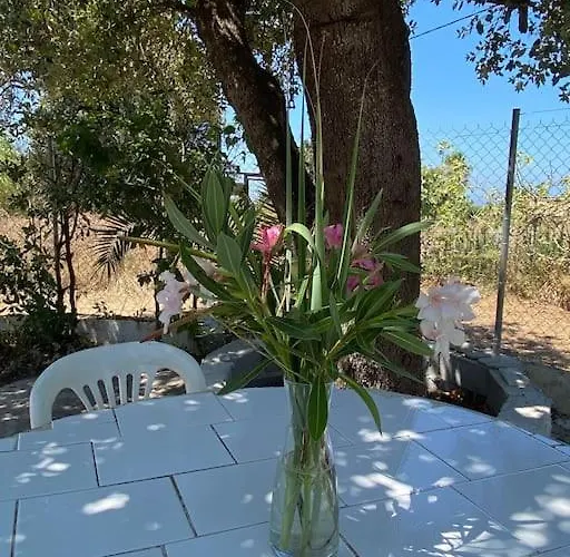Sηαντι 100m From Sandy * Halikounas