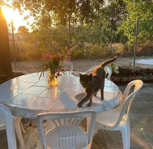 Сasa de vacaciones Sηαντι 100m From Sandy *